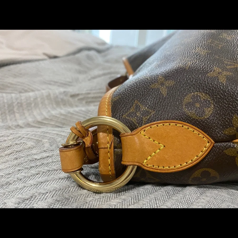 Authentic Louis Vuitton Delightful MM - Picture 4 of 16